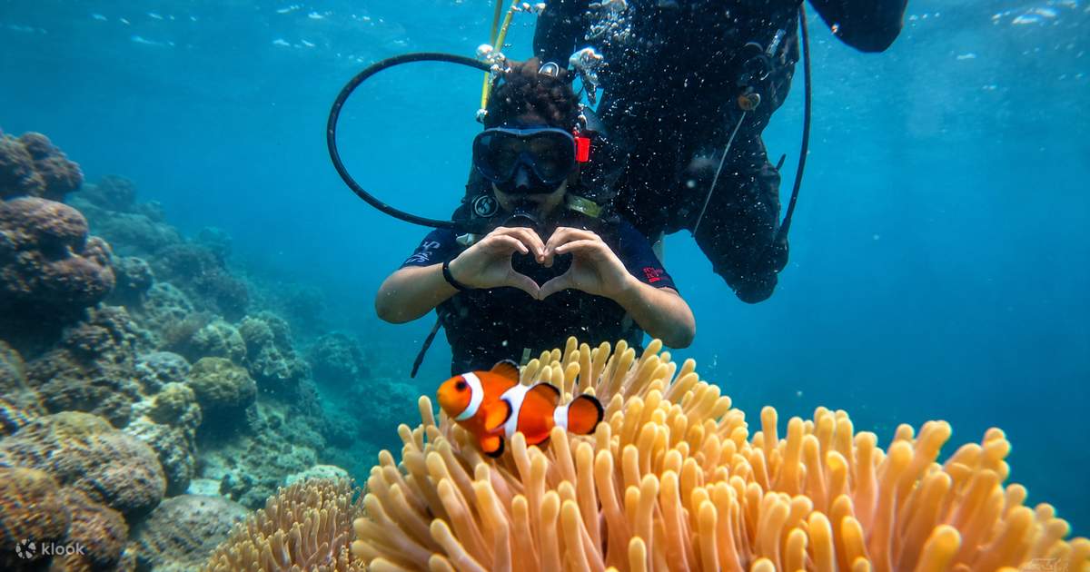 Shore Scuba Diving in Andaman