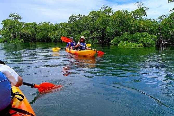 Sea Kart in Andaman Islands