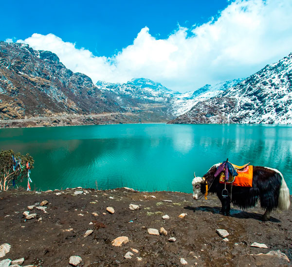 Sikkim Tour Packages